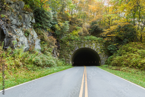 Mountain Tunnel