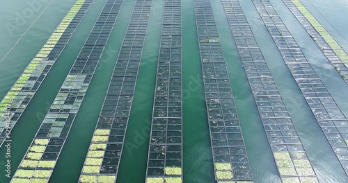 Aerial view of seaweed farm on water surface