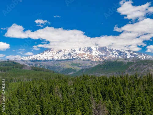 Snowy Mt Adams mountain peak rises above a lush forest. Vast landscape, perfect for nature photography. , Washington, United States