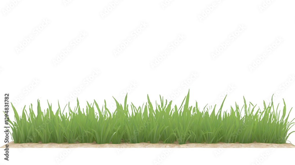 Grass border, green lawn, nature texture Grass border, green lawn, nature texture