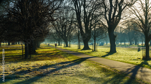 Photography The Phoenix Park early in the morning
