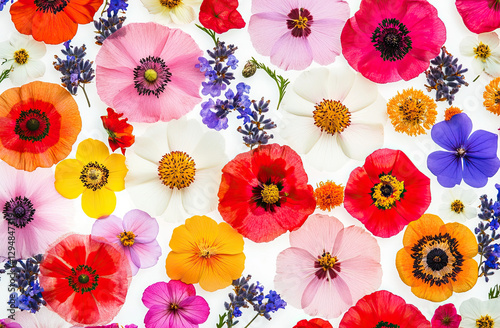 A vibrant arrangement of various colorful flowers on a light background.