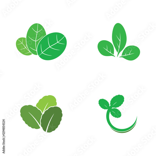 moringa leaves icon vector illustration template design