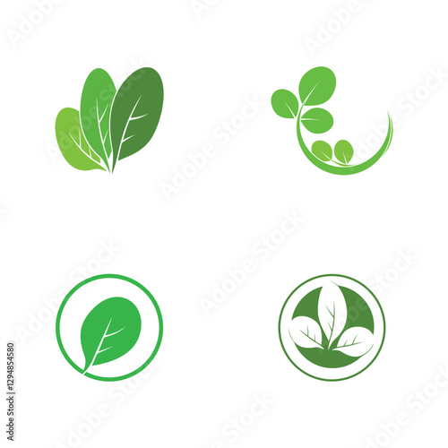 moringa leaves icon vector illustration template design