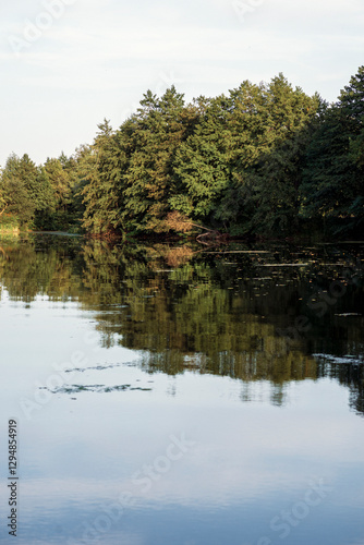 Beautiful summer lake, trees reflected in water, with calm lake surface