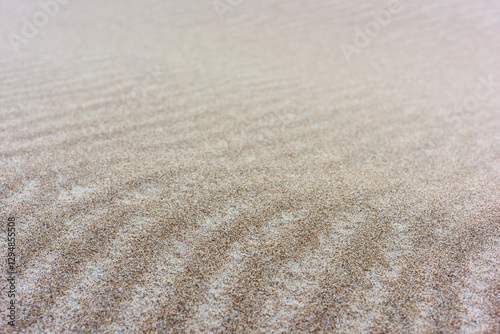 Fototapeta Naklejka Na Ścianę i Meble -  Pristine sands of the Baltic Sea