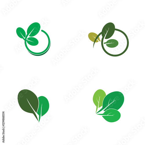 moringa leaf tradicional medicine icon vector illustration template design