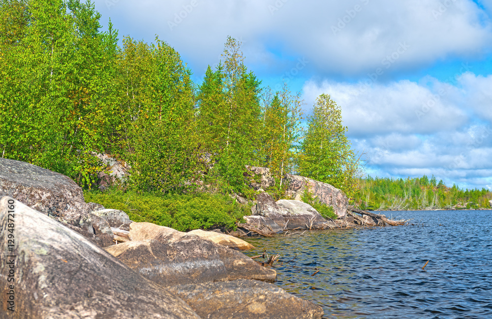 Trees Growing on a Rocky lakeshore