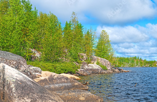 Obraz na płótnie Trees Growing on a Rocky lakeshore w salonie