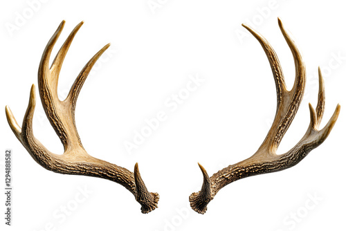 Realistic deer antlers isolated. Detailed brown antlers with textured surface, commonly used for decor, hunting trophies, and rustic themes. AI generated.  . photo