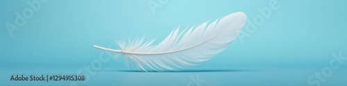 Delicate white feather floats on serene blue Minimalist design aesthetic , nature, abstract, isolated