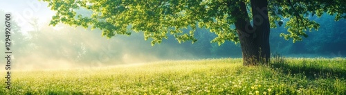 Beautiful summer landscape with trees at sunrise.