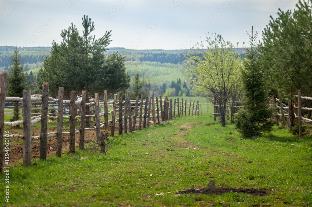Obraz premium Rustic Weathered Fence Leading Through Green Pastoral Landscape