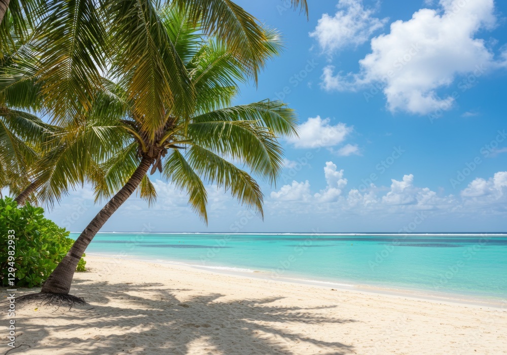 Fototapeta premium Palm Tree on Sandy Beach with Turquoise Water and Blue Sky