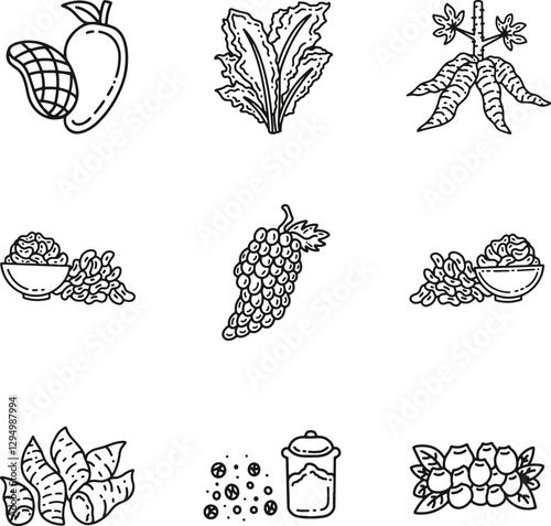 healthy food icons consist of mango, lettuce, cassava, green beans, cashew nuts, grapes, sweet potatoes, pepper, blueberries with line art style