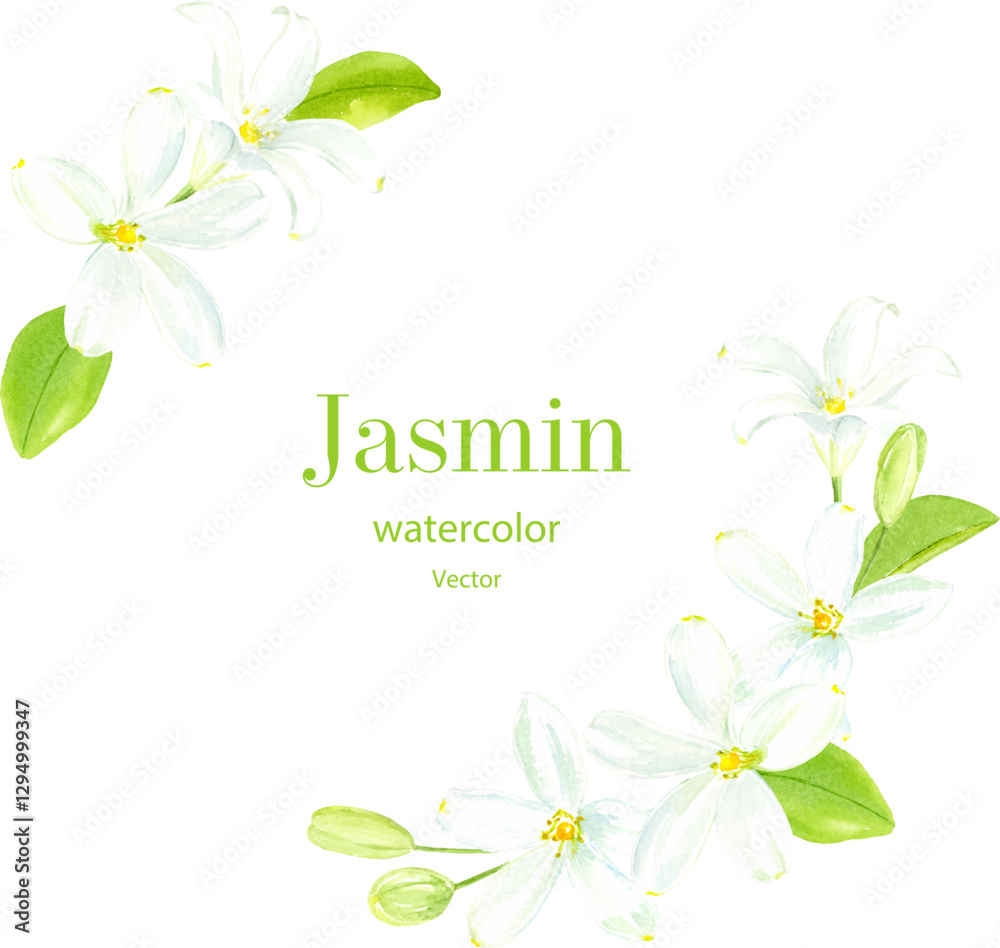 茉莉花 Images – Browse 67 Stock Photos, Vectors, and Video | Adobe