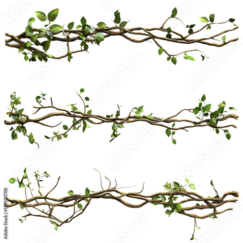Wallpaper Mural green vines isolated on transparent background Torontodigital.ca