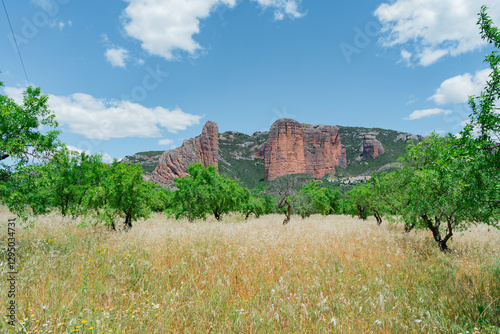 Maravilla natural conocida como los Mallos de Riglos un día soleado con cielo azul y nubes. Desde Riglos, los pirineos, Huesca, Aragón, España, Europa. photo