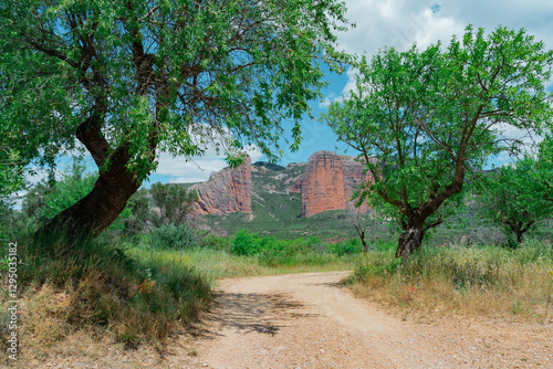 Maravilla natural conocida como los Mallos de Riglos un día soleado con cielo azul y nubes. Desde Riglos, los pirineos, Huesca, Aragón, España, Europa. photo