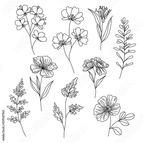 Hand Drawn Floral Line Art Illustration Set, Minimalist Botanical Line Drawing Collection, Vintage Floral Line Art Clipart Pack