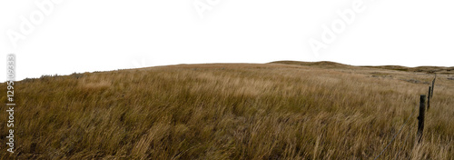 Dry prairie ranch grass blowing in the wind and a barbed wire fence with distant hills and a transparent sky. Panorama
