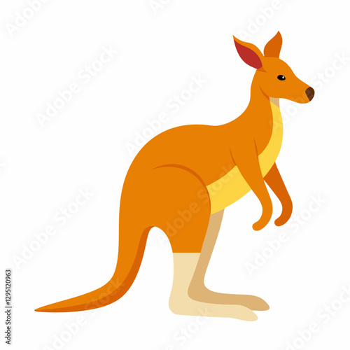 kangaroo vector illustration