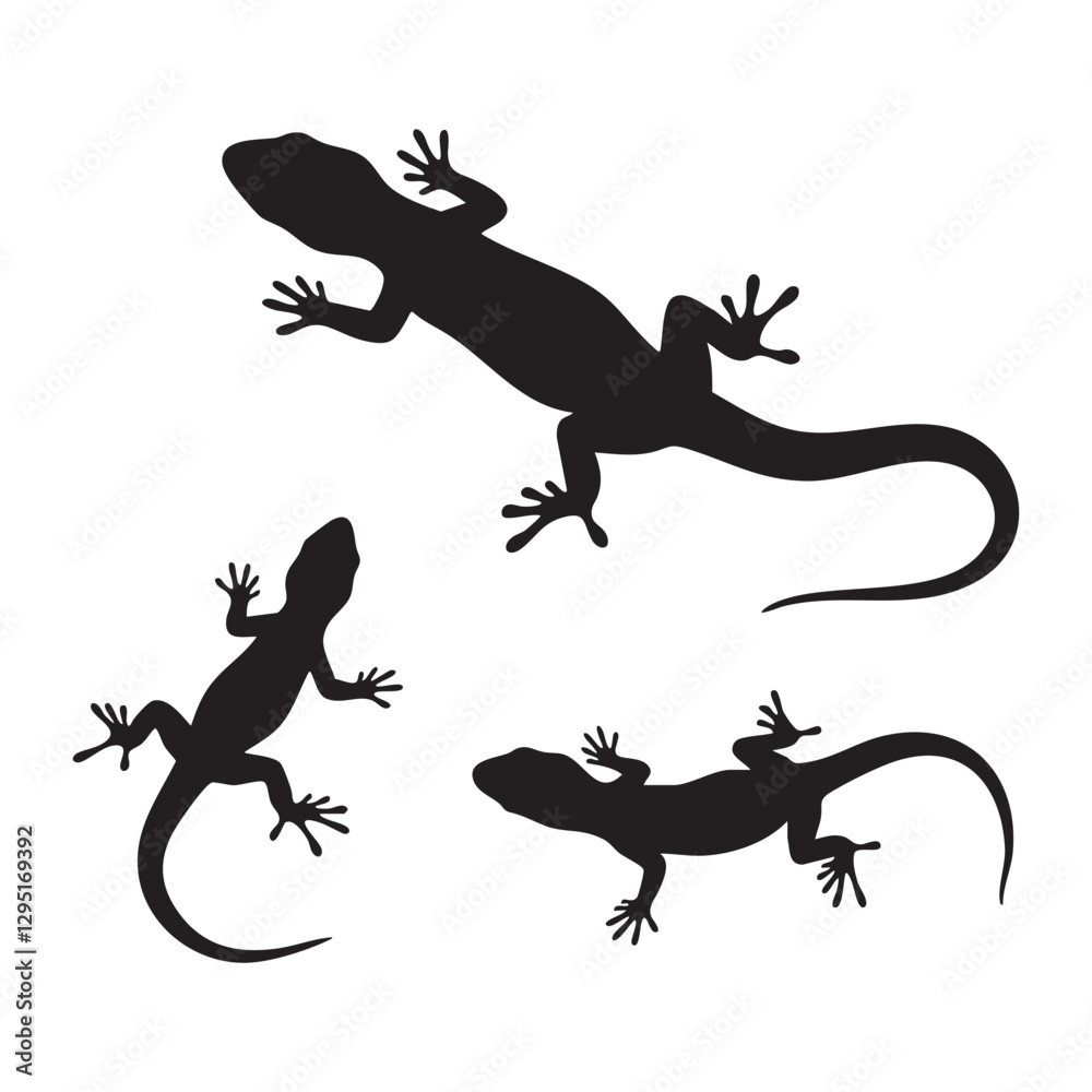 Fototapeta premium Silhouette set of Lizard on white background