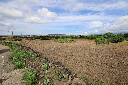 밭과 하늘이 어우러진 논밭 풍경 제주도 제주시 한림읍 귀덕리 영등할망 밭담길