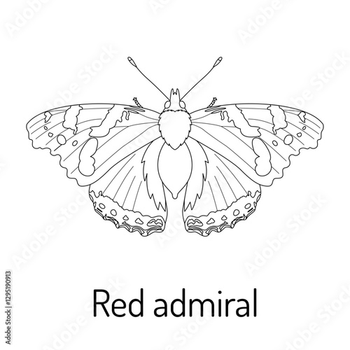 Black and white vector illustration of a Red Admiral butterfly (Vanessa atalanta). Detailed hand-drawn outline for coloring books, nature studies, and educational materials.
