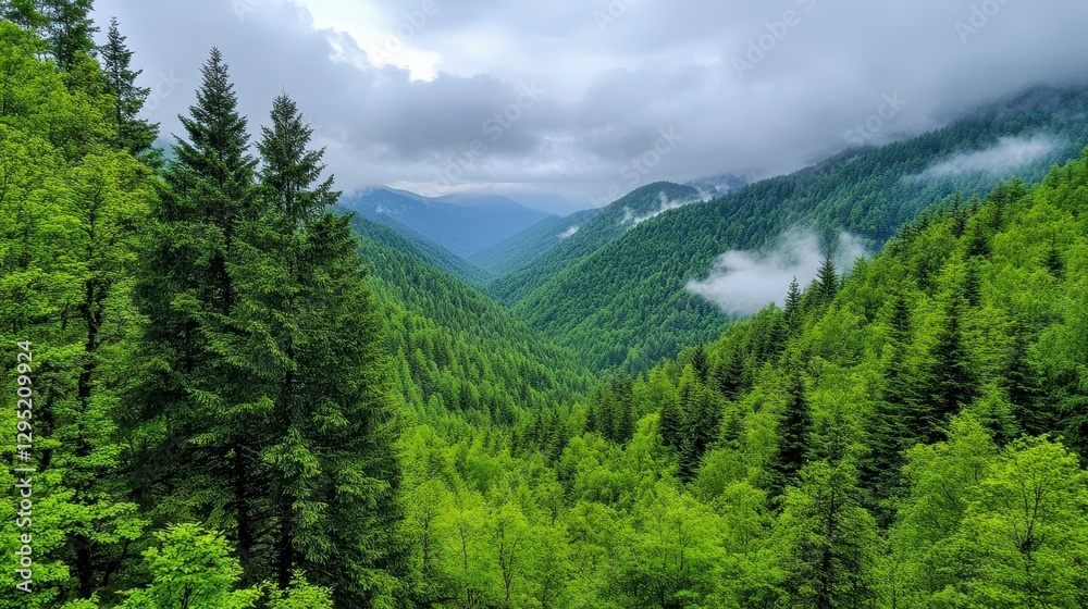 Fototapeta premium Lush Green Mountains Under Cloudy Sky in Scenic Nature Landscape