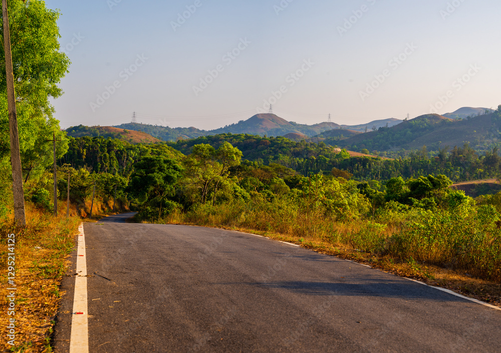 Fototapeta premium landscape of mountains and forest