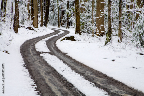 Winter, Snow, Road, Tracks, Greenbrier, Great Smoky Mountains National Park, TN