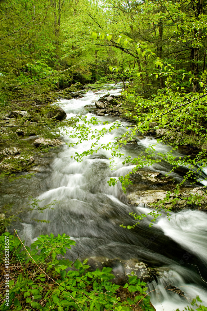 Fototapeta premium Little River, Tremont, Great Smoky Mountains National Park, TN