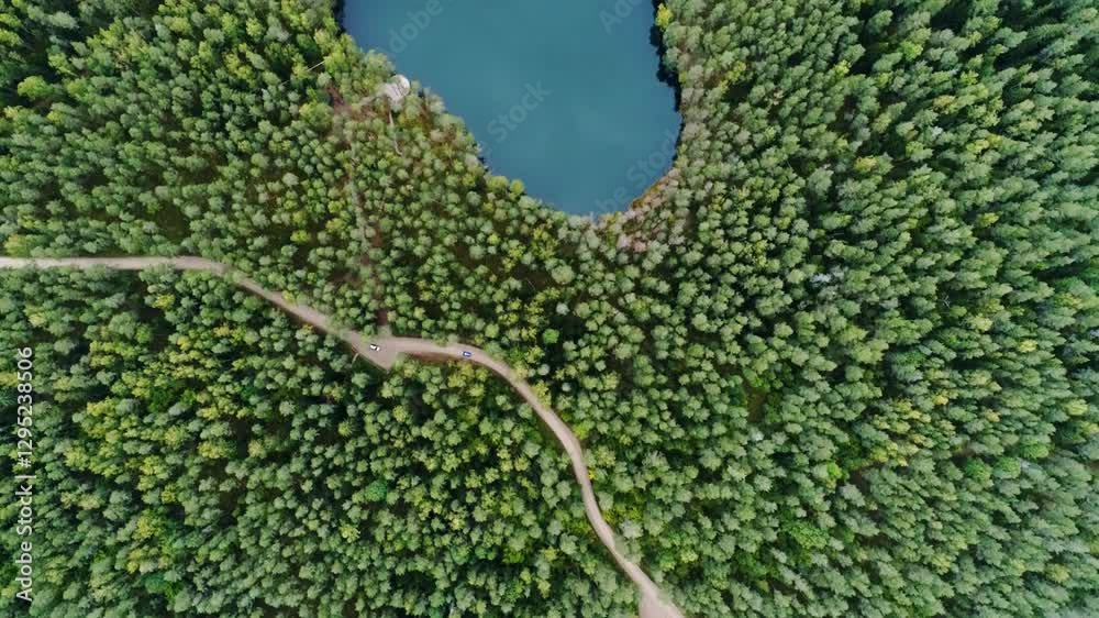 Čertoka Lake, perfectly round water body encircled by dense green forest, Latvia