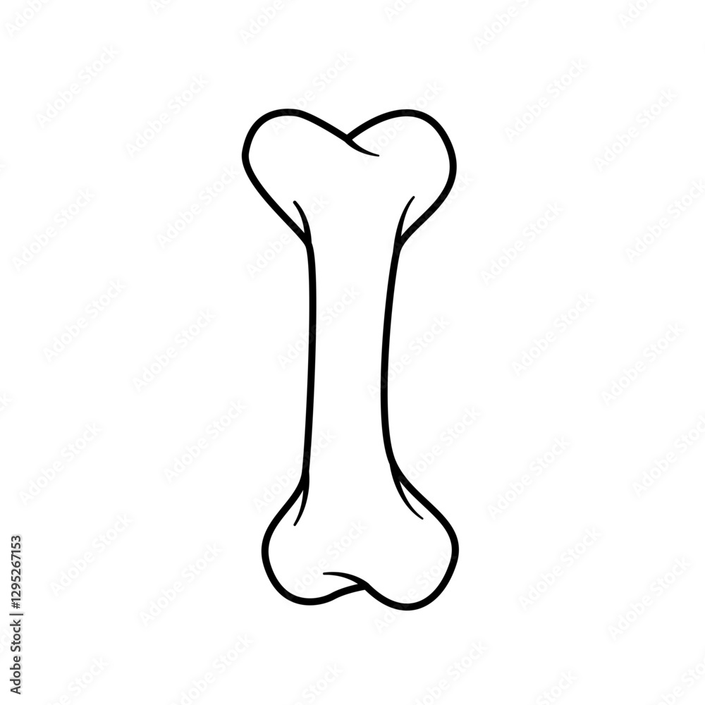 Obraz premium bone fracture