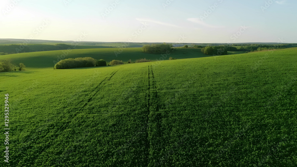 A drone view of a regenerative farming landscape with lush crops and healthy soil A drone view of a regenerative farming landscape with lush crops and healthy soil