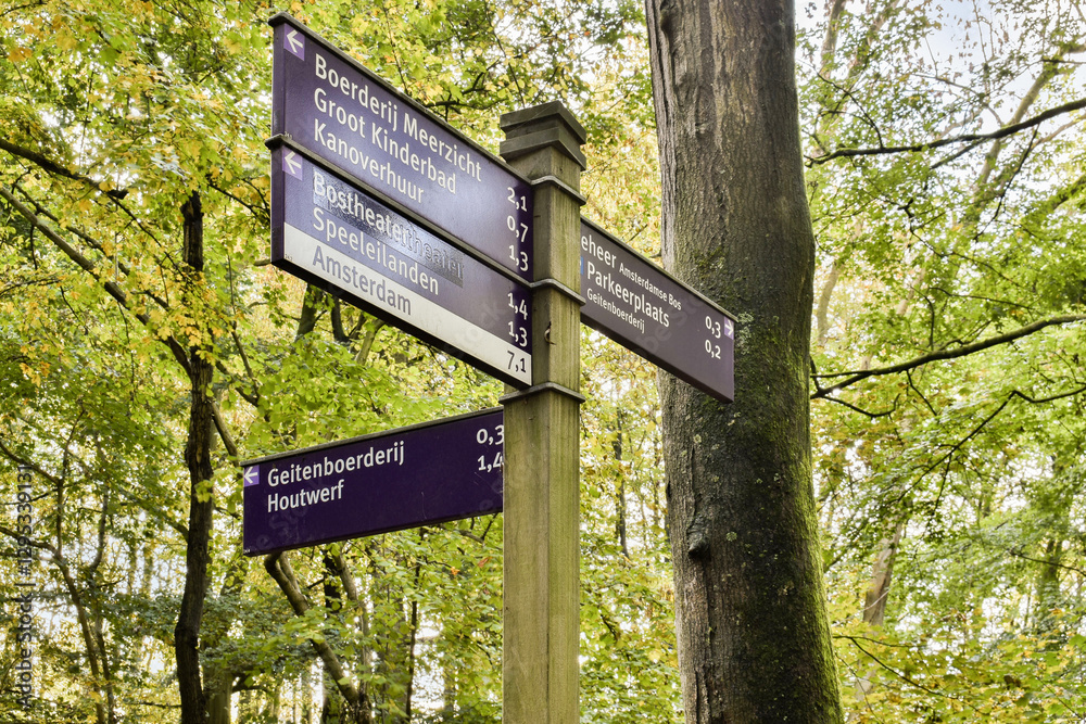 Fototapeta premium A detailed view of directional signposts in a verdant forest, showcasing pathways leading to various destinations, surrounded by nature's beauty.