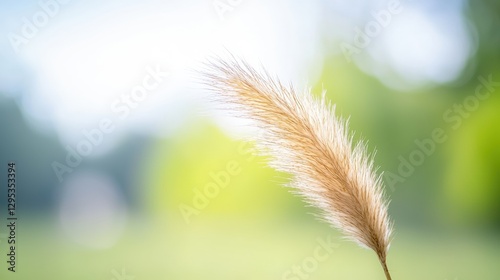 A single blade of grass surrounded by lush green grass representing nature's beauty and the importance of ecosystems photo