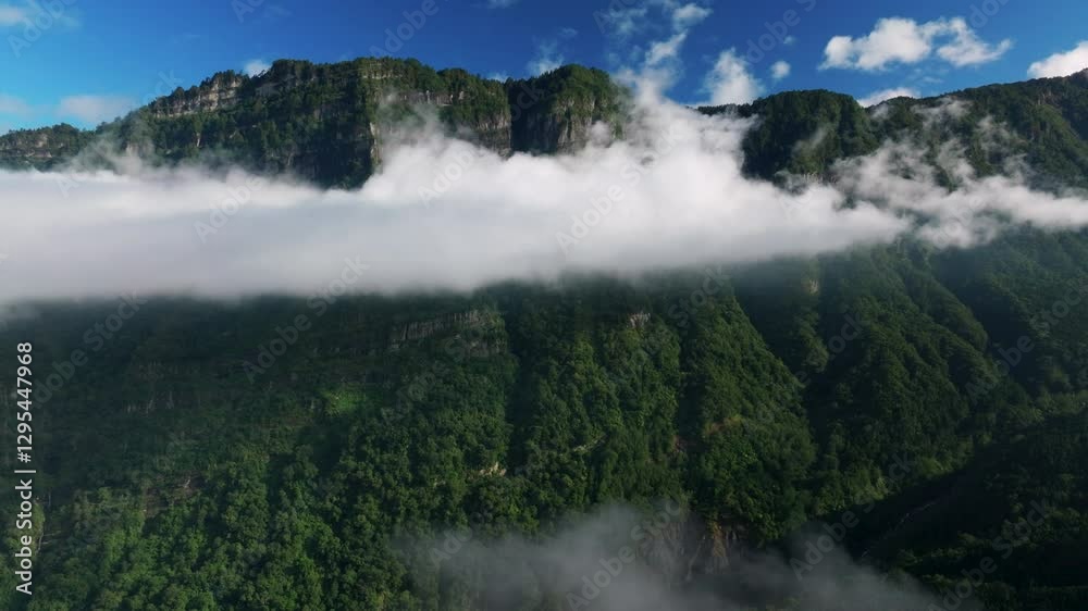 Aerial view of a lush green forest and Alishan mountain in Taiwan Aerial view of a lush green forest and Alishan mountain in Taiwan
