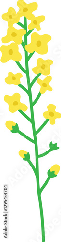 개나리 유채꽃 들꽃 봄 꽃 일러스트 Forsythias canola flower wild flower spring flower illustration