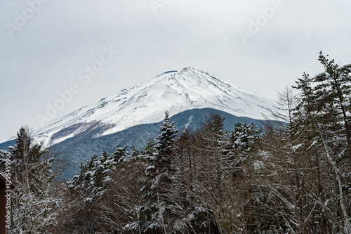 スバルライン一合目からの富士山 photo