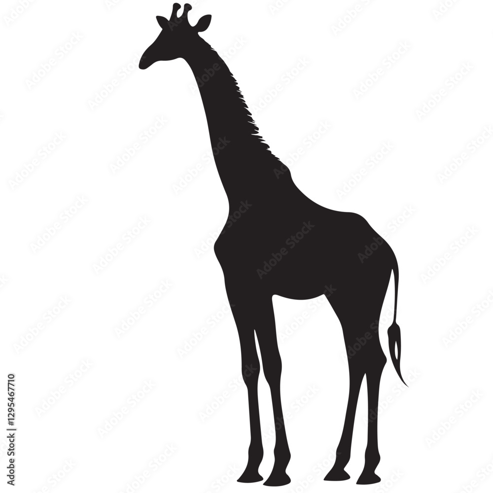 Giraffe silhouette design for t-shirt and logo. Giraffe silhouette design for t-shirt and logo.