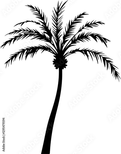 silhouette of palm tree