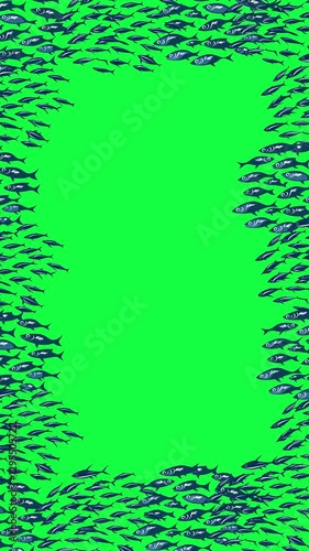 video border fish with greenscreen background small fish as video border