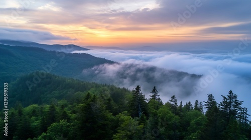 Stunning aerial view of fog rolling over a forested valley at sunrise creating a mystical atmosphere : Generative AI