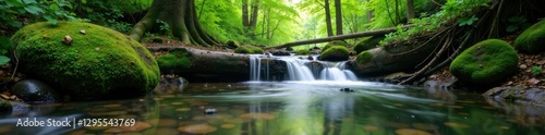 Softly falls water on forest floor, autumn, watercolor, nature