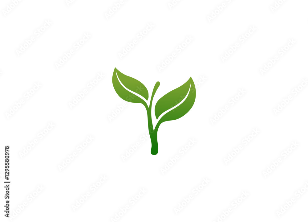 Fototapeta premium the beginning of green seeding on a white background 