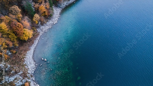 Aerial view of a tranquil lake bordering colorful foliage during the autumn season displaying stunning scenery : Generative AI