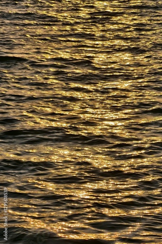 Golden Sunlight Reflecting on Gentle Rippling Water Surface