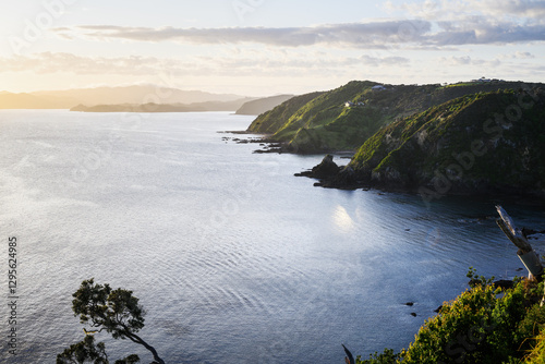 Obraz na płótnie Sunrise at Tapeka Point. Russell. Bay of Islands. w salonie